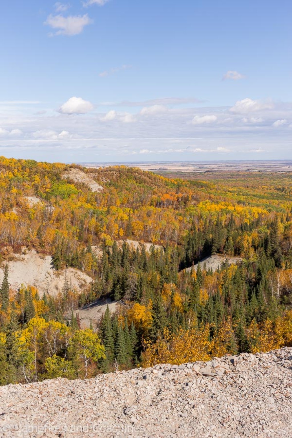 Autumn landscape