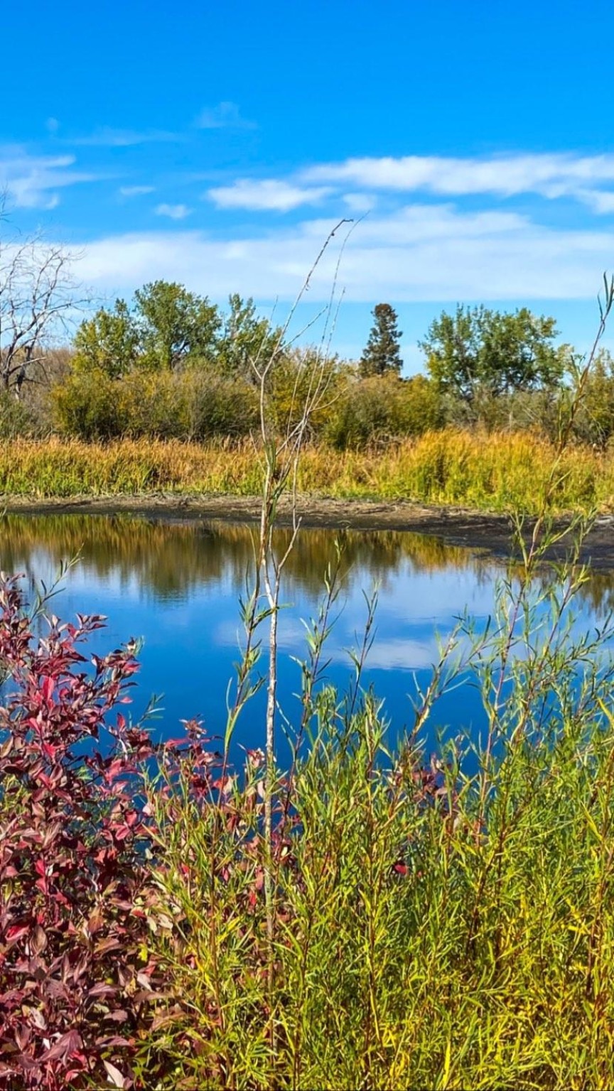 Prairie pond