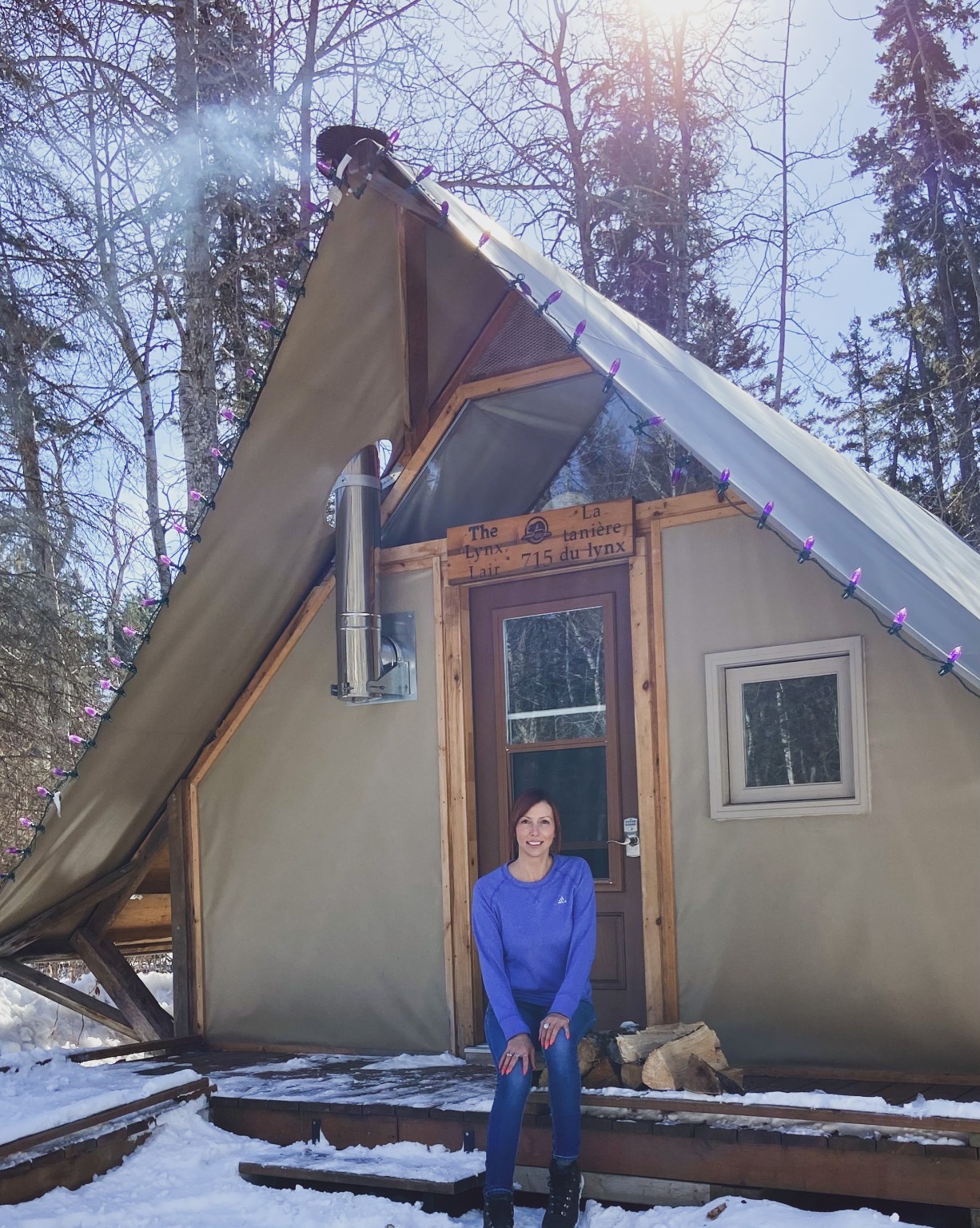 Winter A-frame stay in the park